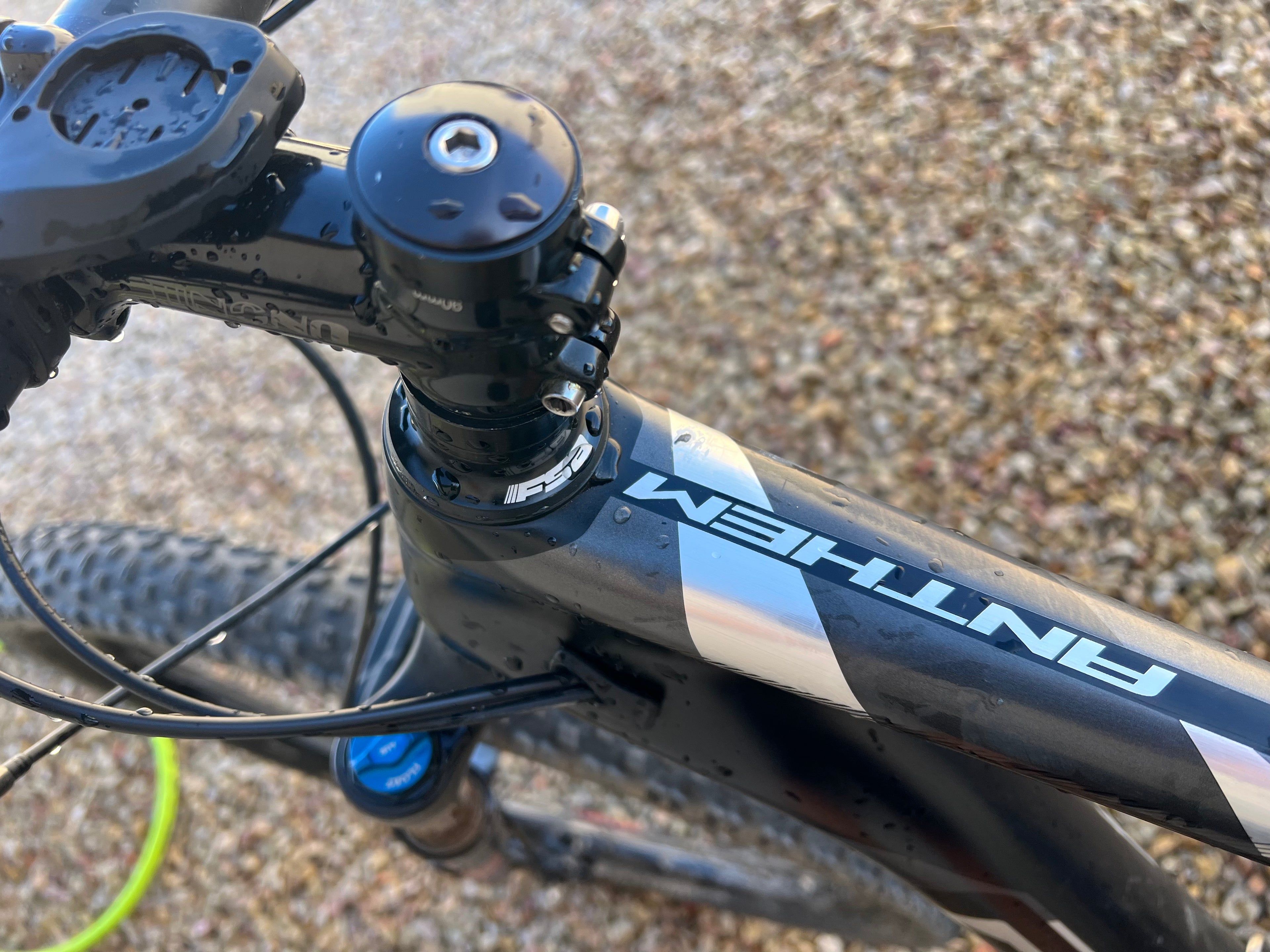 Giant Anthem - Large